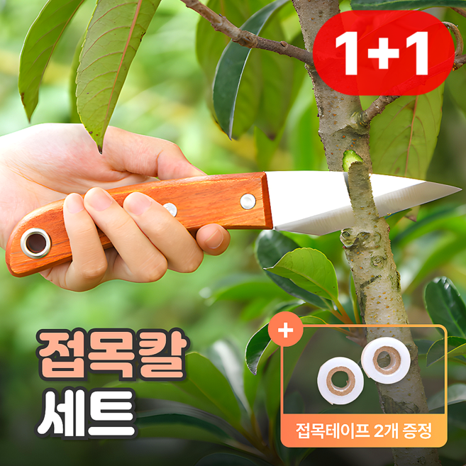 샌디르 나무 접목 칼 접목테이프 세트 과수 원예용 접목도구, 2세트