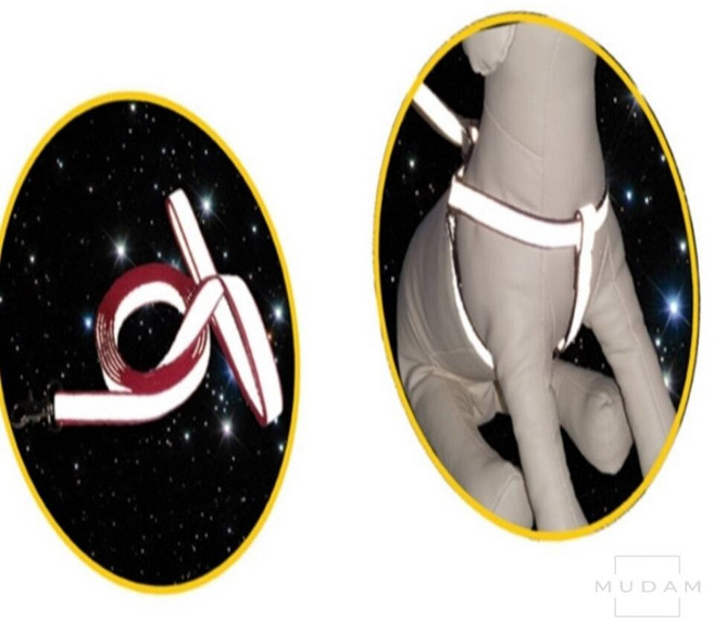 무담 3M 리플렉스 X밴드 세트 L 반사산책줄, 1