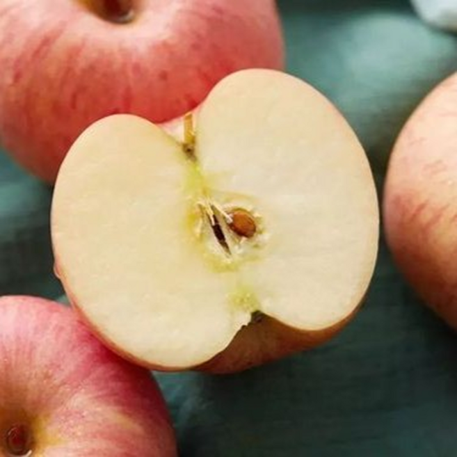 [3월대할인]알뜰강타 최강농부 기절꿀맛 파격식감 못난이사과, 1박스, 10kg