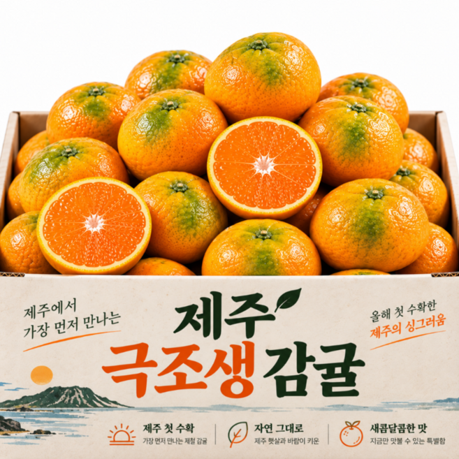 [타임특가] 하루50박스 초고당도 극조생 노지감귤, 1박스, 3kg 대과(L-2L)
