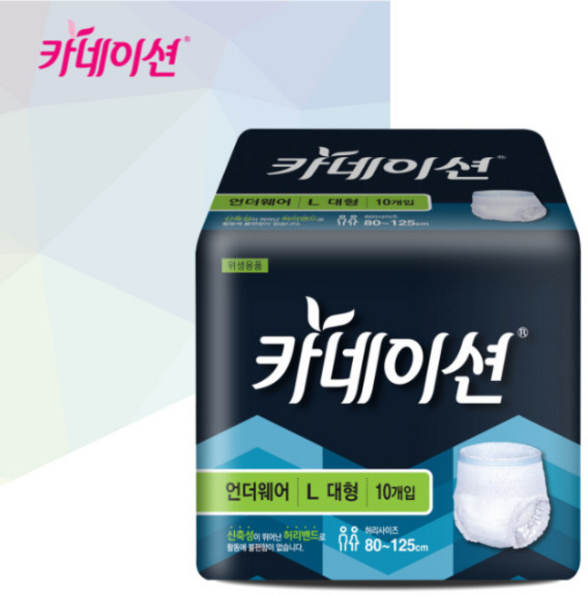 카네이션 언더웨어 L(대형)10개입 요실금팬티 성인기저귀, 대형, 10개입, 4개
