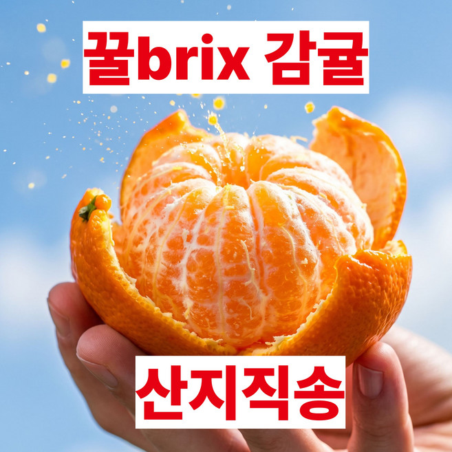 [최대15brix]고당도 제주귤 제주감귤, 1박스, 10kg(초초특가)