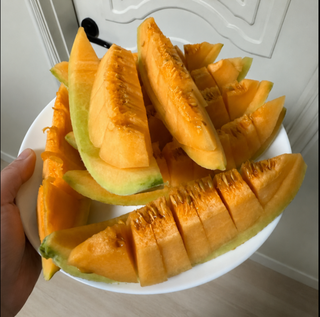 햇딴 고당도 프리미엄 솜사탕 메론 제철과일, 1개, 1kg