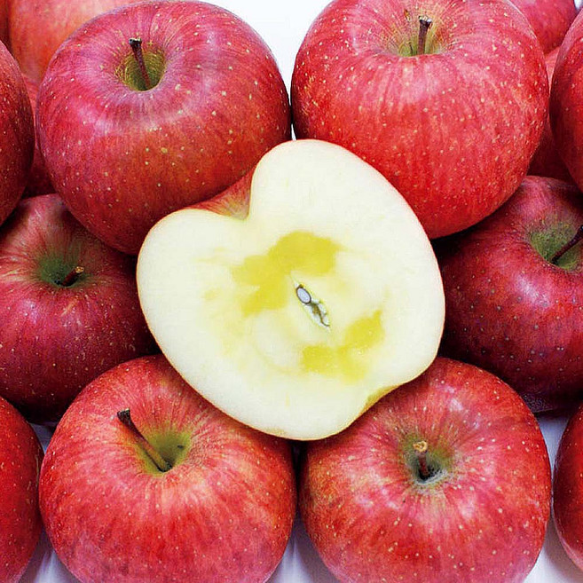 [경북능금] 백화점납품 최상품 부사사과 산지직송, 1박스, 옵션6 - 5Kg (대과)