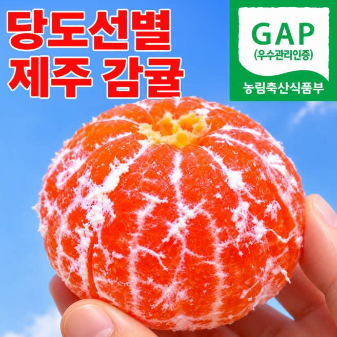 [반짝초특가] 고당도선별 최대15브릭스 귤 제주감귤, 1박스, 5kg _인기추천