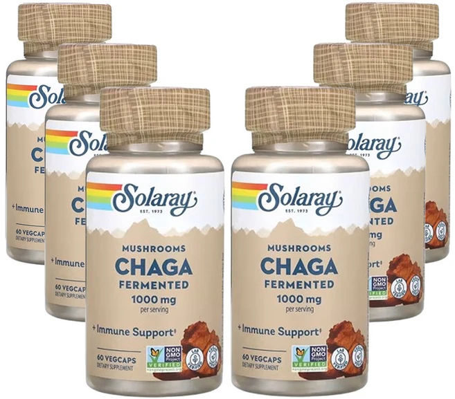 솔라레이 발효 차가버섯 1 000mg 60베지캡슐(캡슐당 500mg), 6개, 60정 - 쿠팡