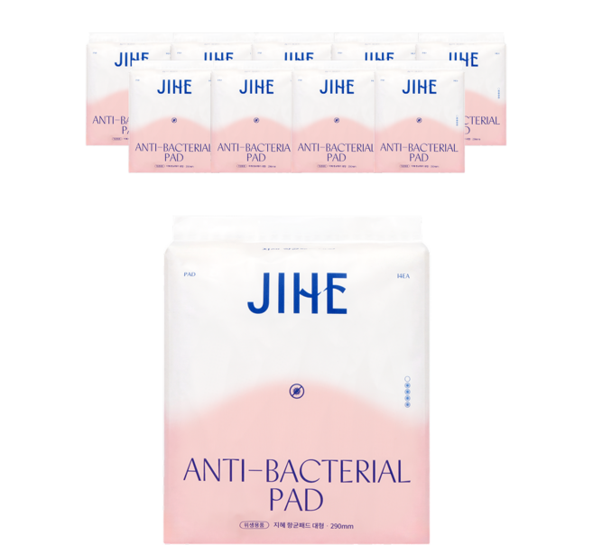 지혜 항균 패드, 대형, 14개입, 10개