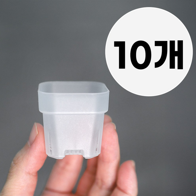 미니 투명 사각화분 플라스틱 슬릿 삽목화분, 10개