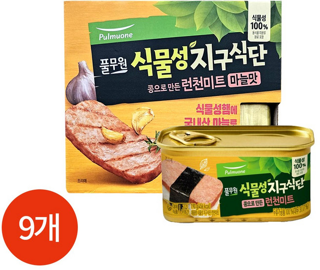 풀무원 식물성 지구식단 콩으로 만든 런천미트 마늘맛, 190g, 9개