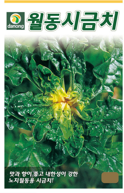 [주주씨앗] 월동시금치 씨앗 40g 노지월동 섬초 시금치 종자 가을 파종 채소씨앗 씨앗몰, 1개