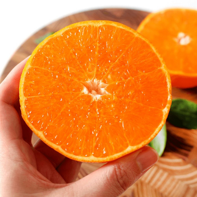 [타임세일] 꿀당도 제주 고당도 천혜향, 1박스, 10kg