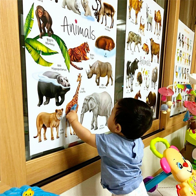 유아학습 방수 보스터 바다동물 학습 A1, 06. 바다동물 학습 (방수)