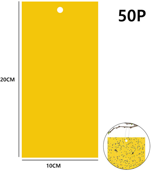 편안한42 초파리 트랩 날파리 벌레 퇴치 끈끈이 트랩 10X20cm, 50개, 7g