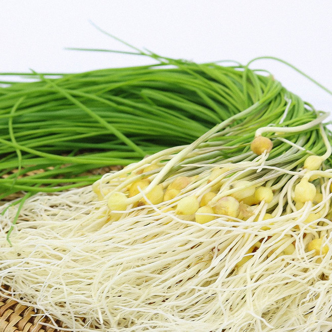 26년 당일수확 국내산 제철 산나물 달래, 1개, 1kg