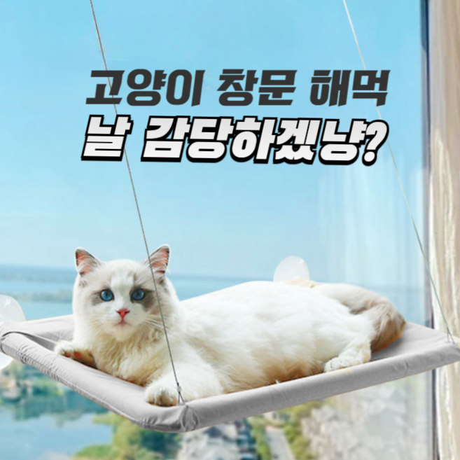 썬더키 고양이 창문 캣타워 해먹 창가 창틀 설치형 휴식용 캣선반, 1개, 상세설명참