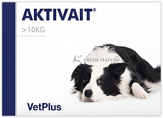 벳플러스 액티베이트 항산화제 인지 보조제 중대형견 10kg 이상, 1개, 골든리트리버, 60회분