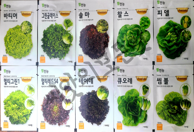 유럽상추 씨앗 11종 5000립 펠렛코팅 대용량 멀티그린 씸블 큐오레 바티머 솔마 챨스, 08.큐오레5000립펠렛코팅, 1개