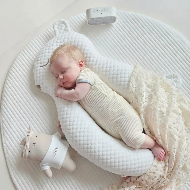 푸키포키 다람이 옆잠베개, 웨치바이오, 웨치바이오 - 쿠팡