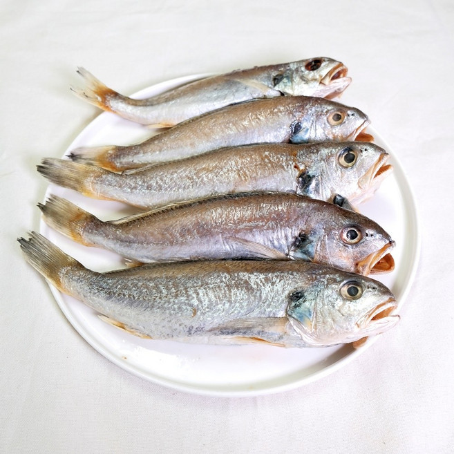 삼천포 용궁수산시장 반건조생선 가정용상품 모듬, 1개, 반건조 백조기 (4~8미)