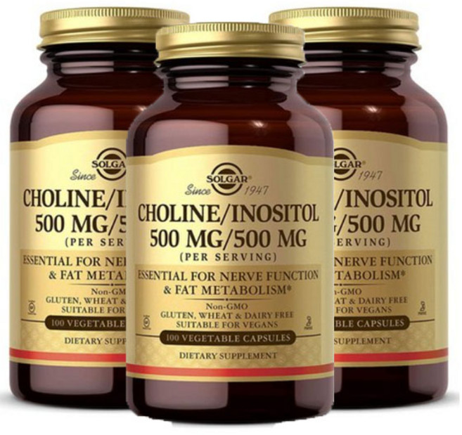 솔가 콜린 이노시톨 베지캡슐 100정 x 3개