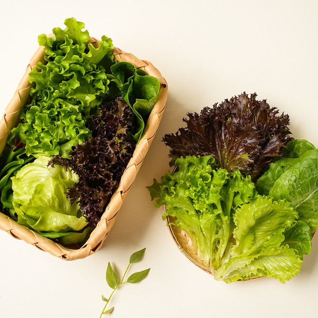 봉채소 아쿠아포닉스 친환경 무농약 유러피안 샐러드 모듬 쌈 채소 선물구성 3구, 250g