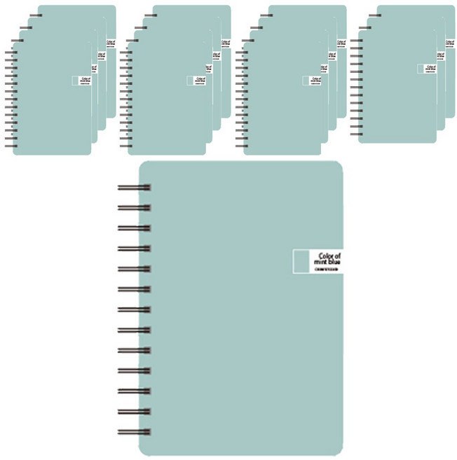 톡톡팬시 CMYK 컬러 스프링 노트, 민트, 16개