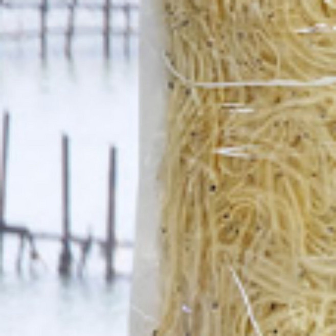 아이들 반찬 자연산 뱅어포 대천 실치포 술안주 10p, 1개, 상세페이지 참조