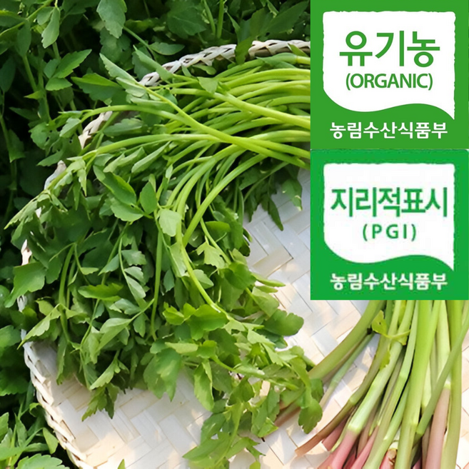 [최초유기농인증] 농약안심 최상품선별 아삭향긋 한재미나리, 1개, 200g