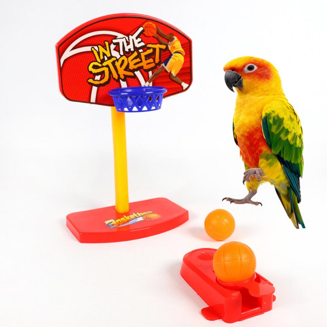 점핑 농구대 앵무새 장난감 훈련 놀이 용품, 1개, 수량