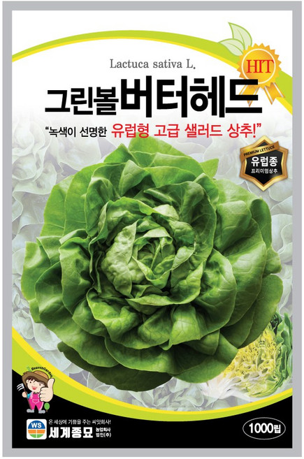 모칸도 세계종묘 상추씨앗 그린볼버터헤드 1000립, 1개