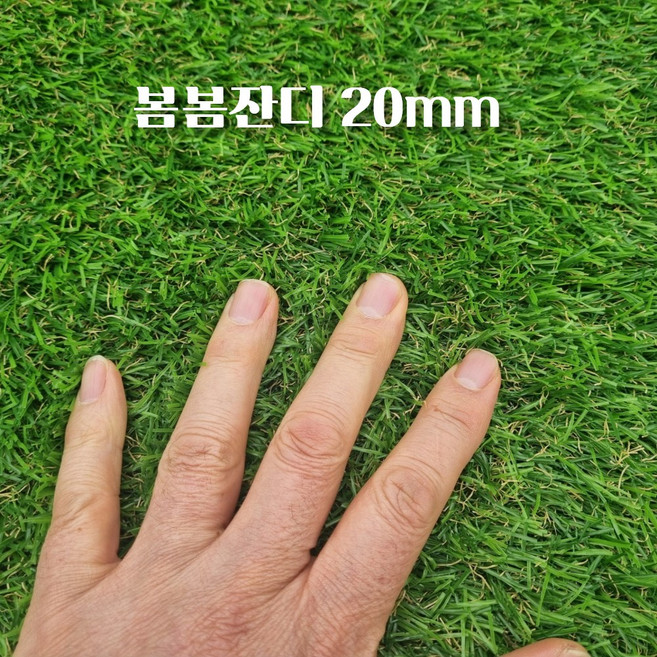 초면애 봄봄 조경용 인조잔디 20mm, 1m x 2m x 20mm, 1개