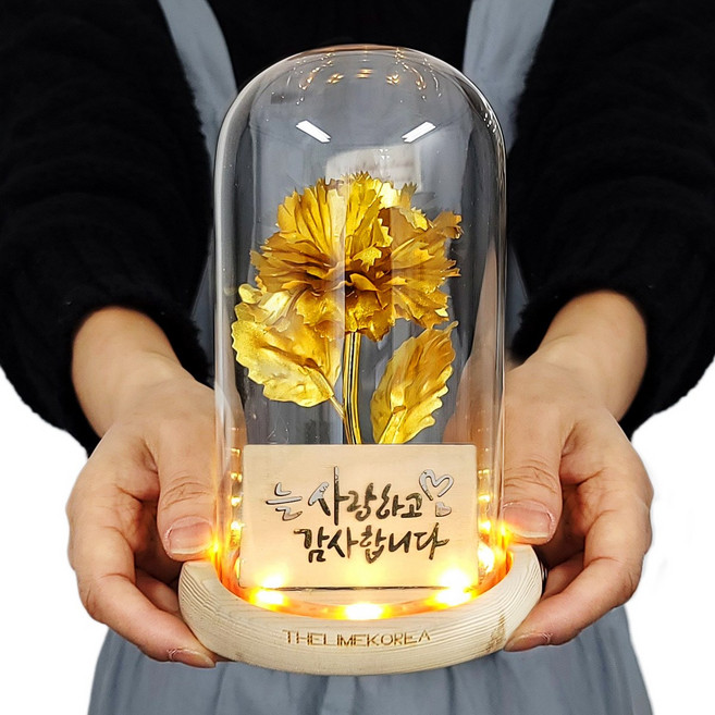 더라임코리아 불들어오는 골드 오로라 어버이날 LED 카네이션 유리돔 무드등 선물 2타입, 1개