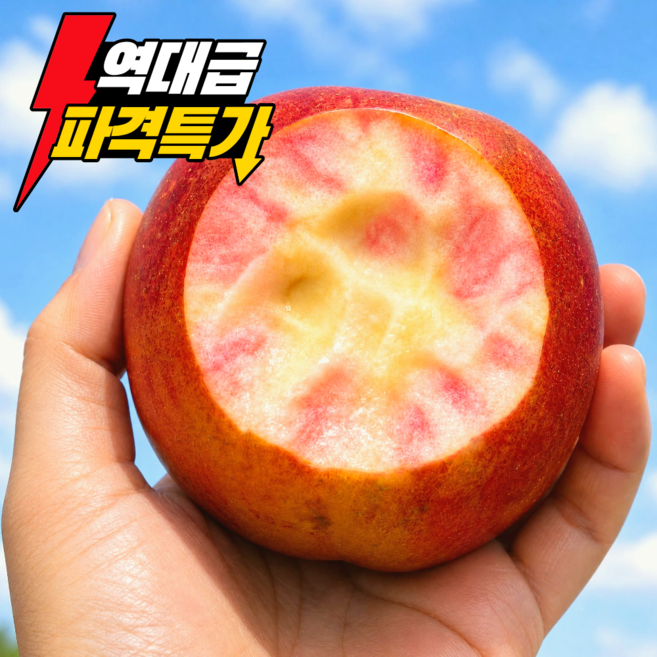 [15brix이상] 26년 갓 수확한 피치애플 엔부사과, 1개, 5kg