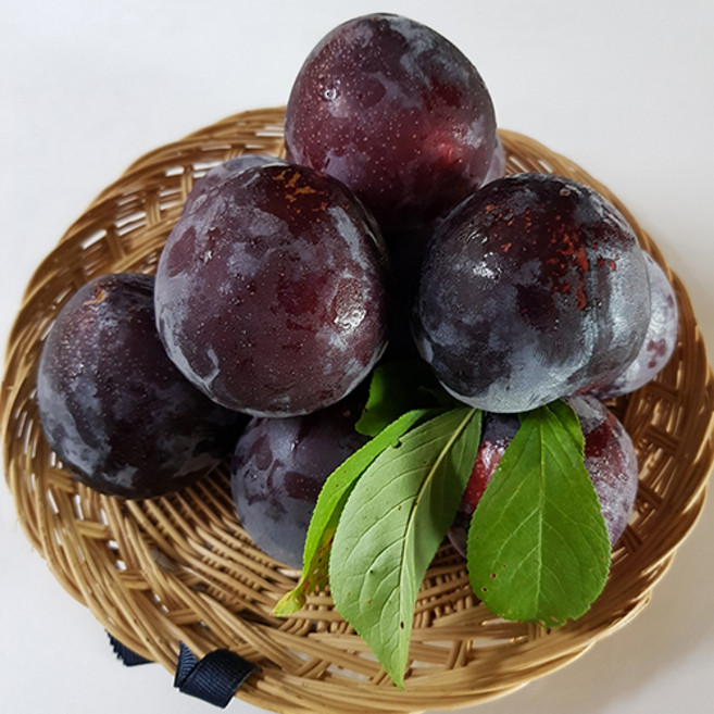 거창 체리자두 나디야 2kg, 1개