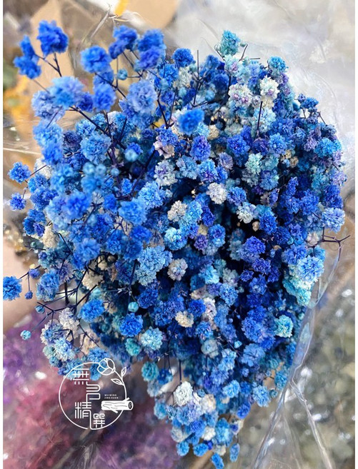 無名精選 乾燥花花束 星辰 滿天星 情人草 卡斯比亞 永生花禮 居家裝飾 攝影道具, 100克/大把/滿天星(寶藍色)