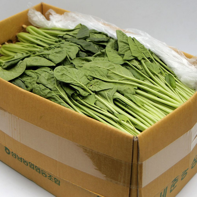 국내산 특품 시금치 한박스 4kg 가락시장 당일새벽경매, 시금치  1박스(4kg내외), 1개