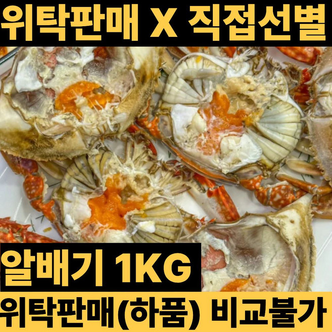 국내산 생물 알배기 활꽃게, 1개, 1kg