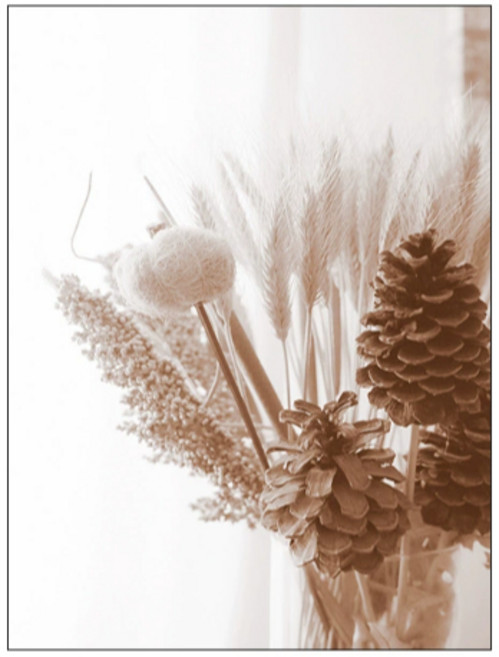 36 brushes 北歐簡約抽象花卉無框畫 帆布壁畫 30x40公分, 花卉E10款