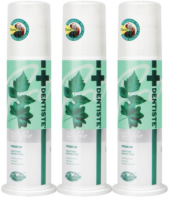 덴티스테 플러스화이트 펌프형 치약, 120g, 3개