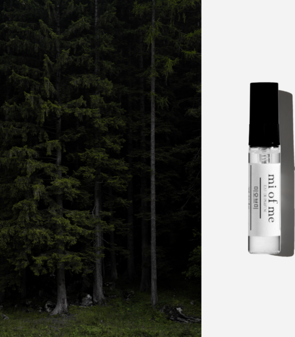 미오브미 테싯 니치 향수 오드퍼퓸, 1개, 5ml