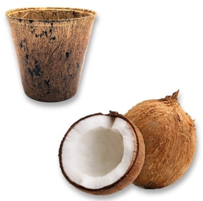 코코넛화분 5개