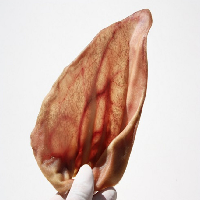 댕댕이냥냥 1+1 강아지 고양이 수제간식, 4g, 1개, 30. (단품)우리한돈통귀4개