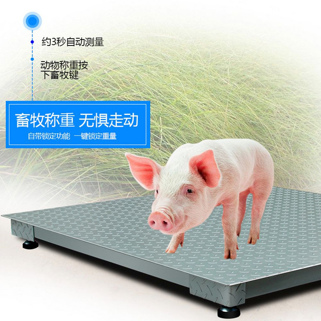 산업용 파렛트 가축 무게 대형 0.6x0.8m/1톤 측정기 바닥, I. 일반  1.51.5 03T, 1개