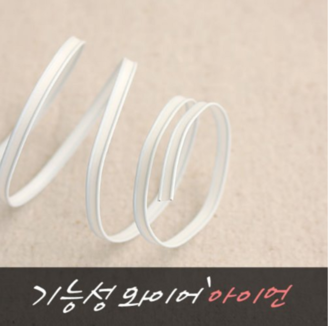 릴리패브릭 [2마] 국산 기능성와이어(아이언) - 공예용와이어 / 철심와이어, 1개