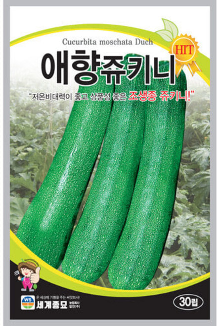 애향쥬키니30립 씨앗 세계, 1개