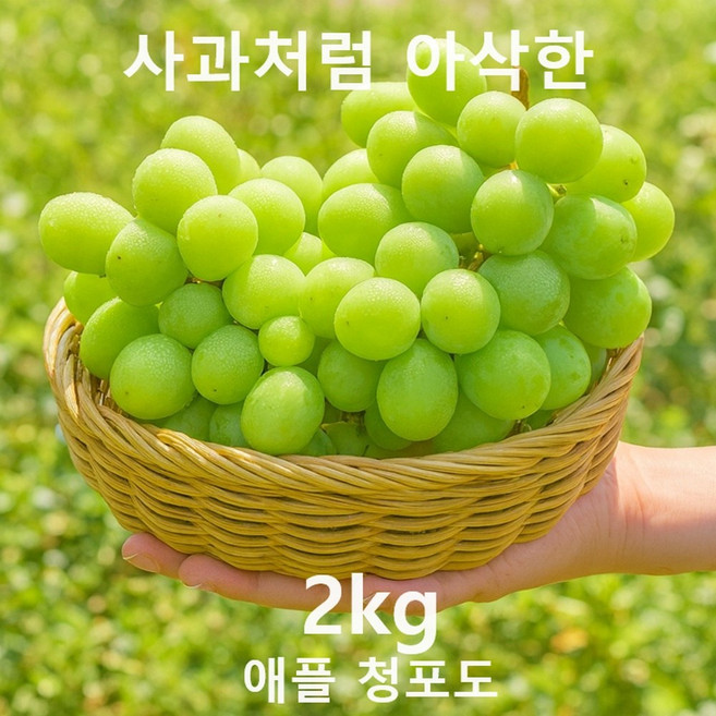 [애플 청포도 15% 타임특가] 신선하고 사과처럼 아삭한 오톰 크리스피 청포도, 1박스, 청포도 2kg
