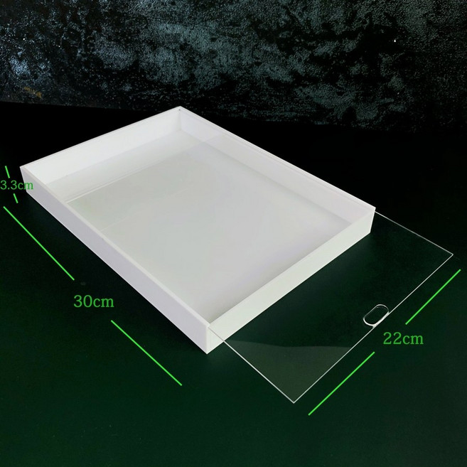 해루질트레이 아크릴 투명 수중 해녀 조과통 낚시 선반, 커버가있는작은흰색빈접시30X22X3.3