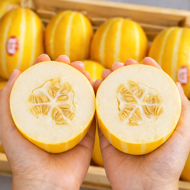 [햇살담아팜] 성주 참외 산지직송 고당도 가정용, 1박스, 10kg(중과참외)