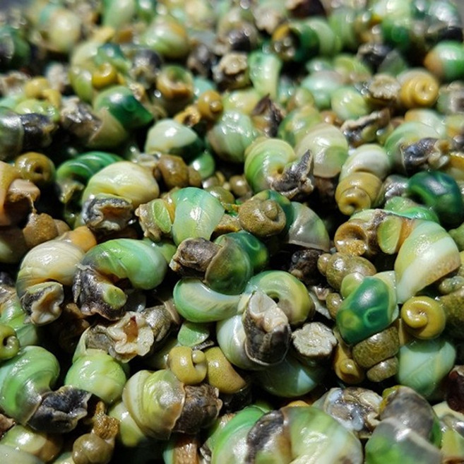 황금이네 자연산 깐다슬기 생다슬기, 자연산 다슬기 육수, 1개