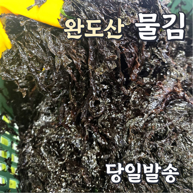 완도 김 물김 생김 당일조업 급냉 1박스 1kg 지아수산, 1개